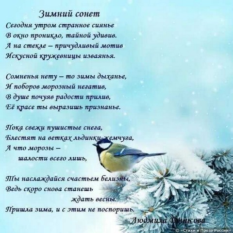 rubrika minutka poezii 3