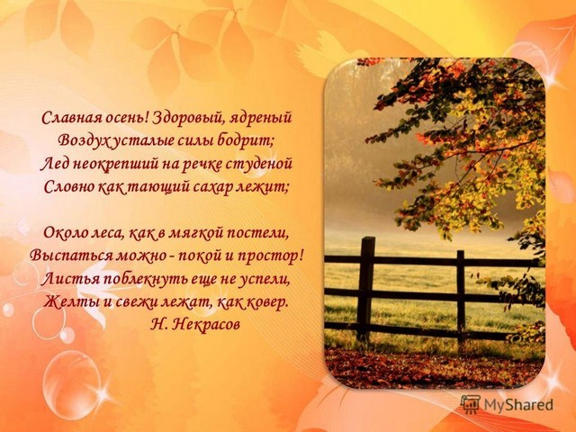 minutka poezii 6