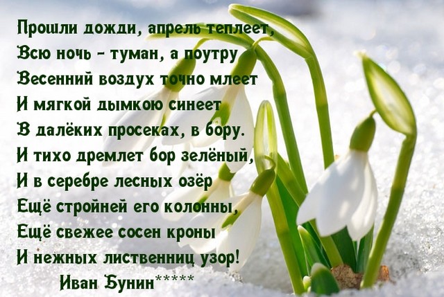 poeziya 1