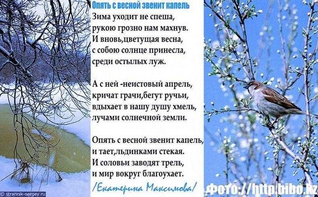poeziya 3